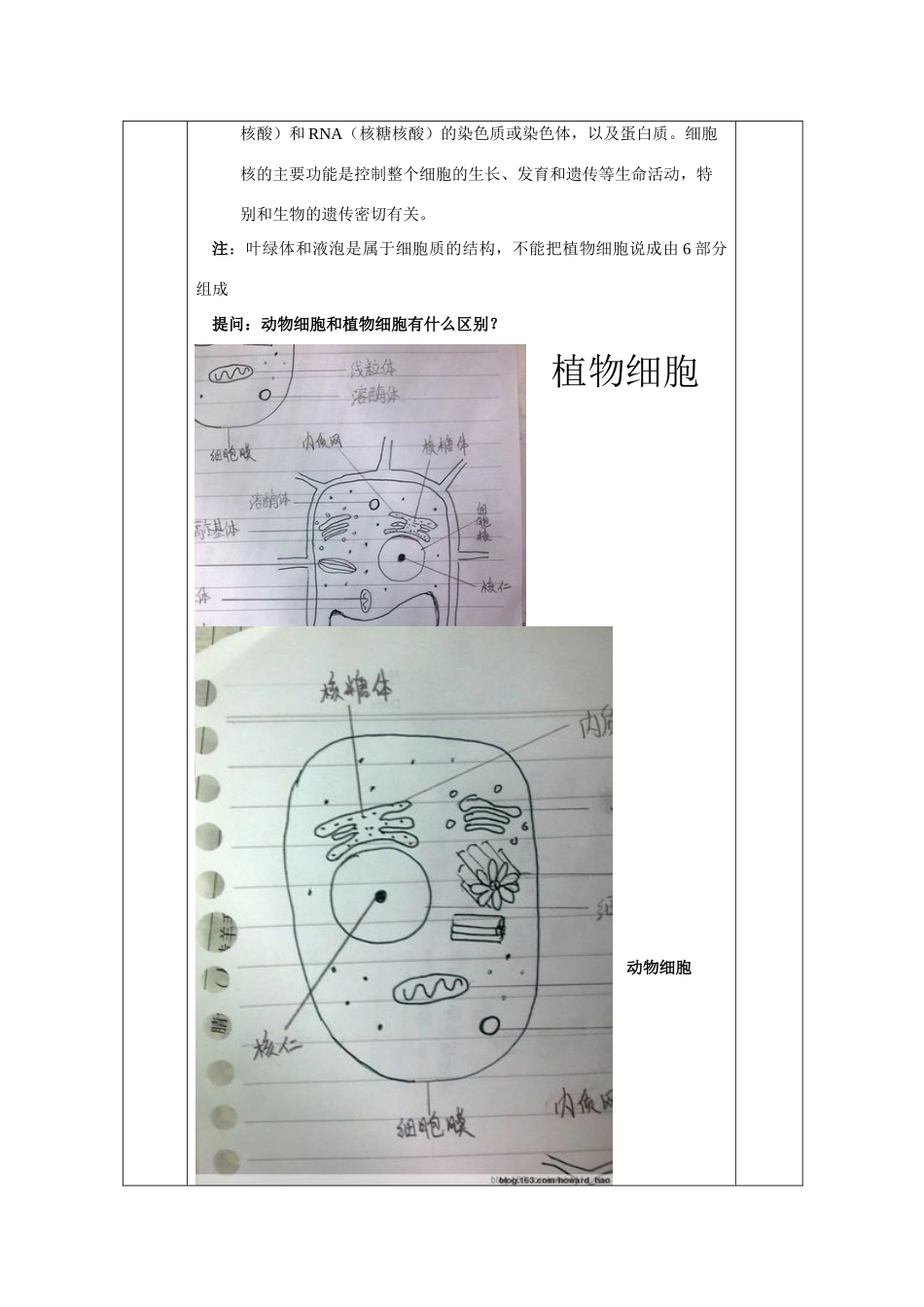 七年级科学下册 第五章 生物体的结构层次 2.细胞 教案（一）华东师大版_第3页