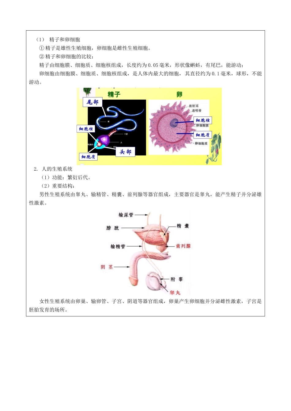 七年级科学下册 教师辅导讲义 第1章 生命的诞生、成熟 动物的生长 浙教版-浙教版初中七年级下册自然科学教案_第2页