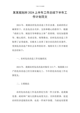 某某规划所2024上半年工作总结下半年工作计划范文