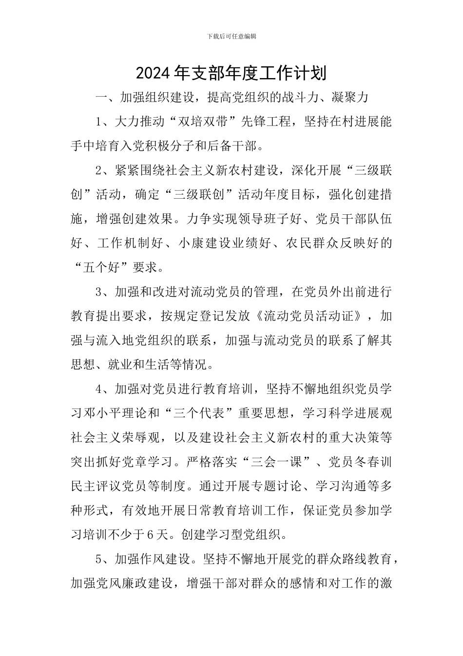 2024年支部年度工作计划_第1页