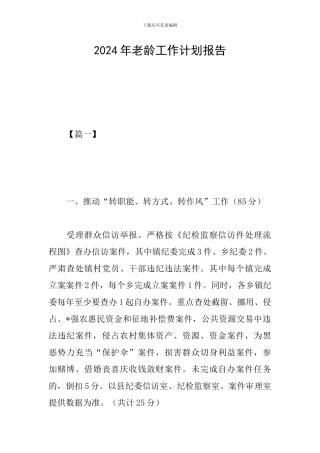 2024年老龄工作计划报告