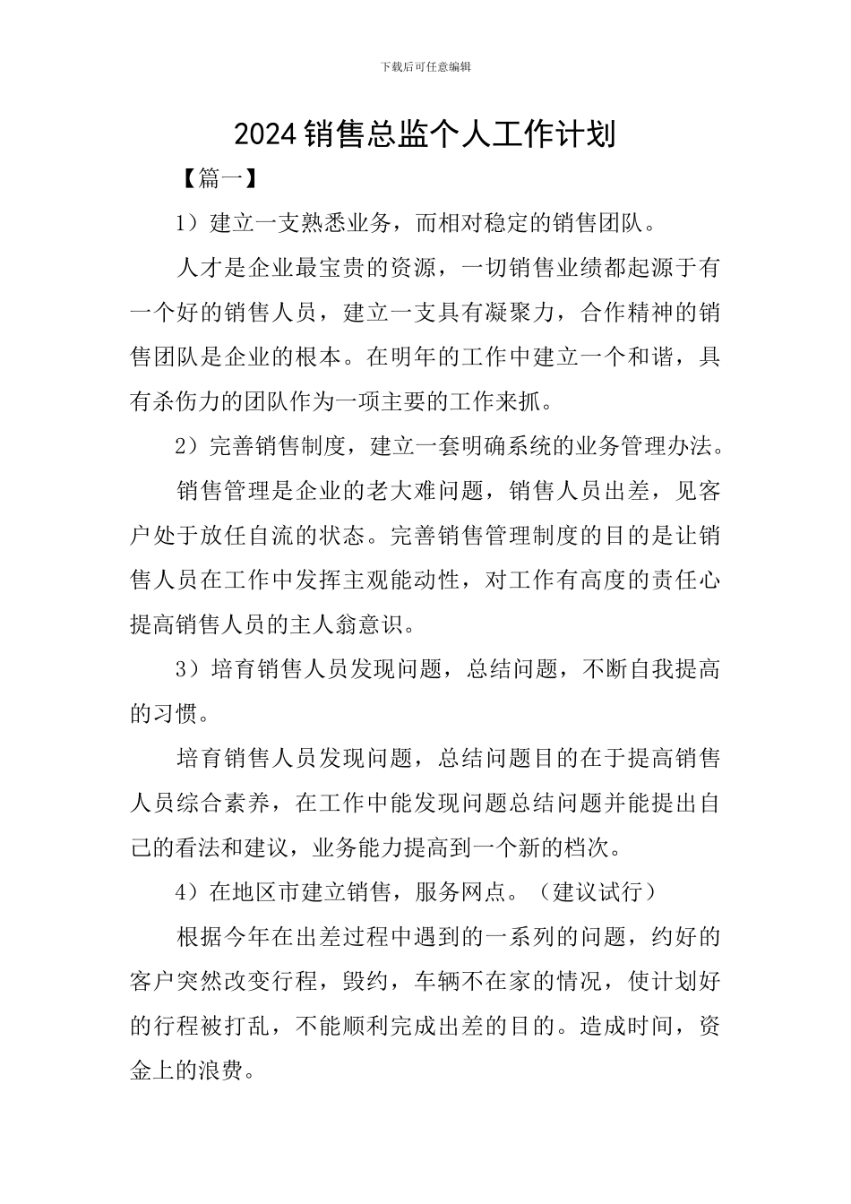 2024销售总监个人工作计划_第1页
