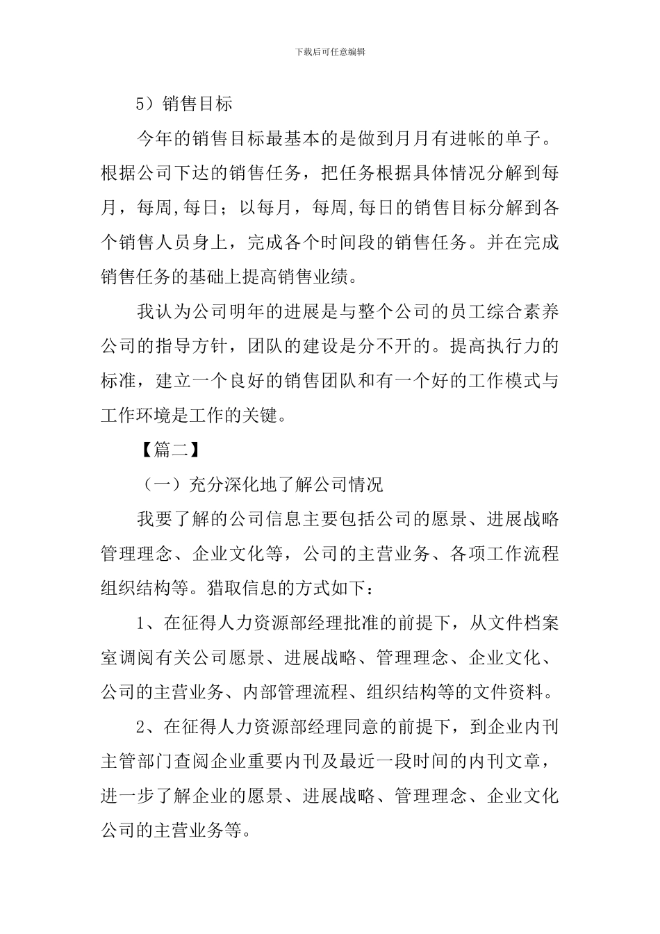 2024销售总监个人工作计划_第2页