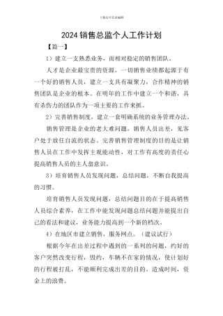 2024销售总监个人工作计划