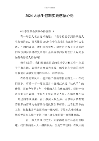 2024大学生假期实践感悟心得