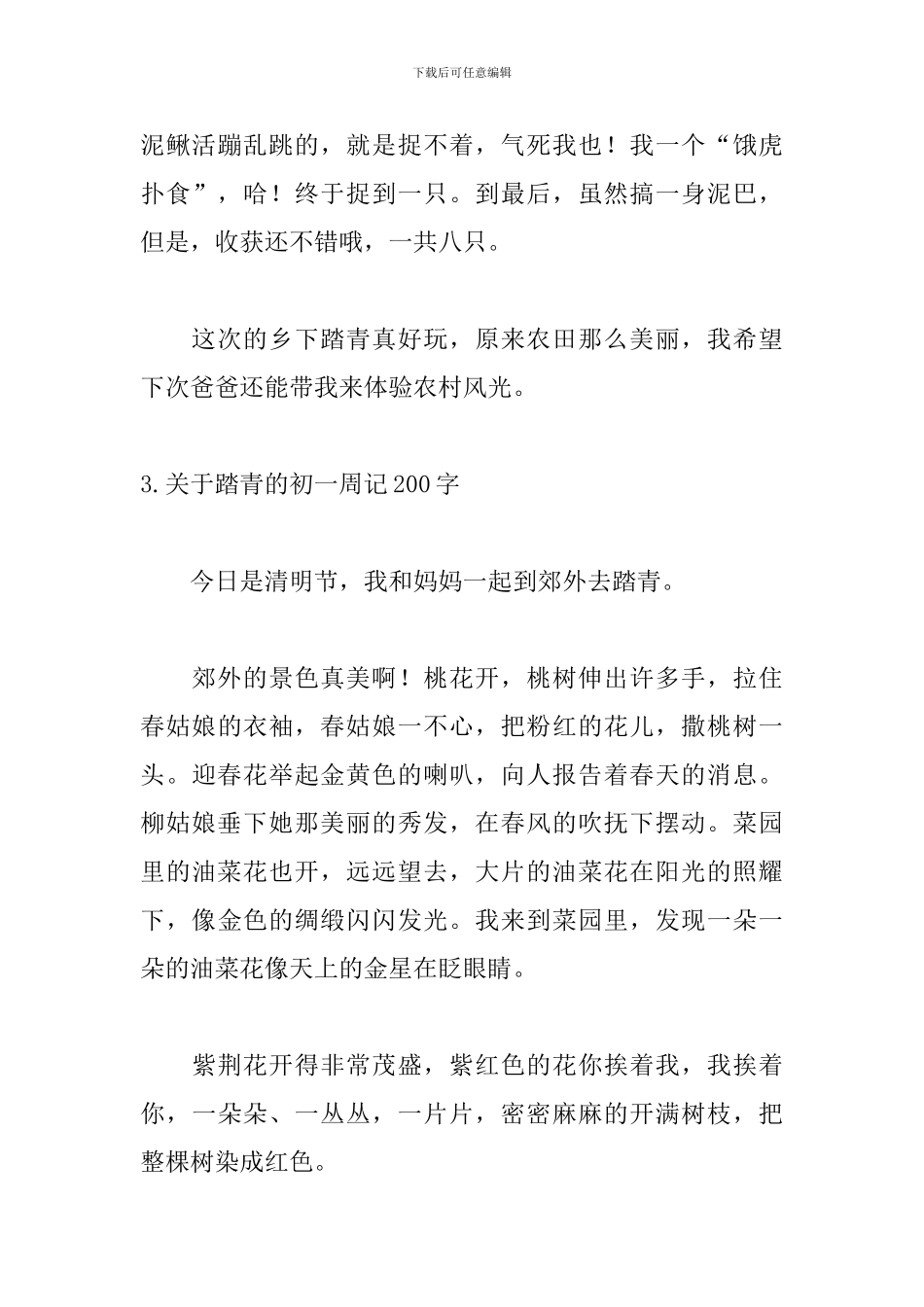 关于踏青的初一周记200字_第3页
