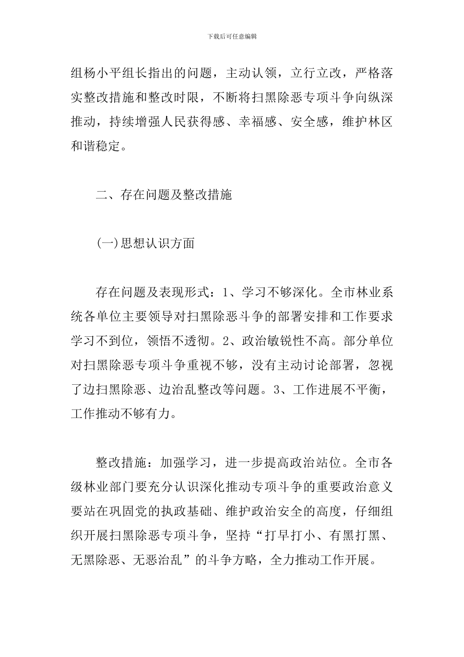 扫黑除恶专项斗争整改工作方案_第2页