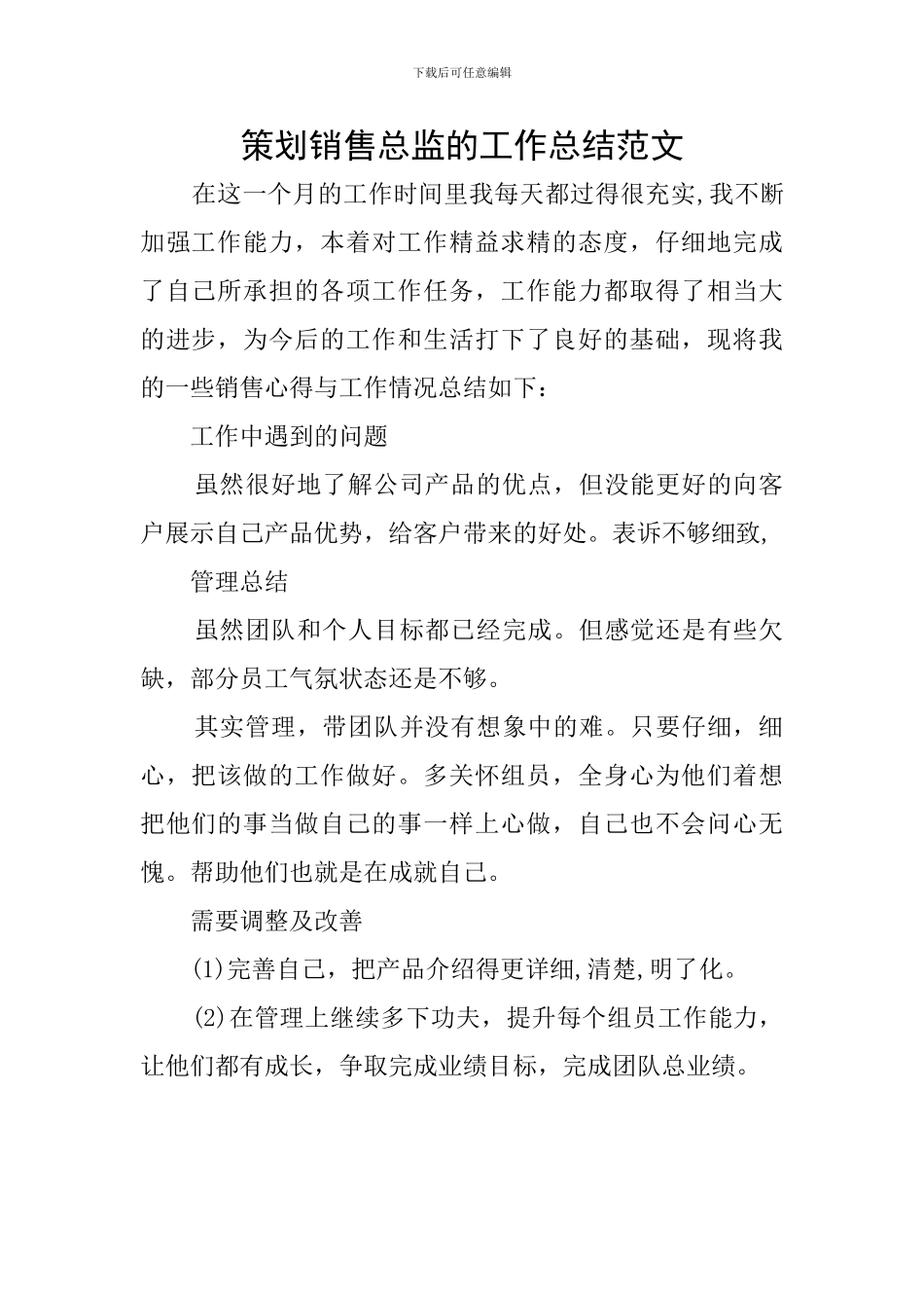 策划销售总监的工作总结范文_第1页