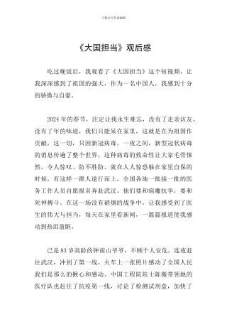 《大国担当》观后感
