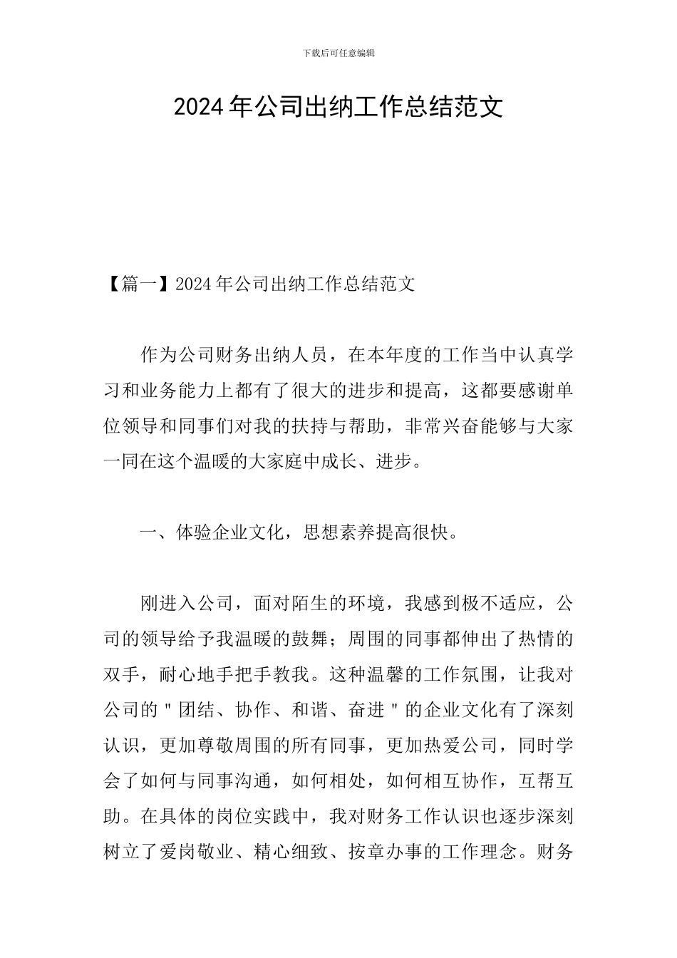 2024年公司出纳工作总结范文_第1页