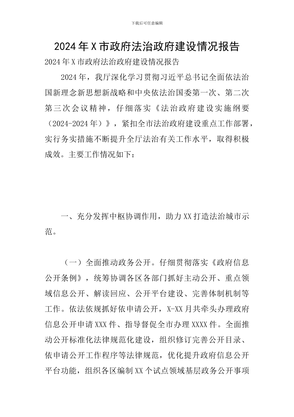 2024年X市政府法治政府建设情况报告_第1页