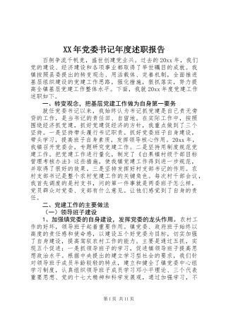 XX年党委书记年度述职报告