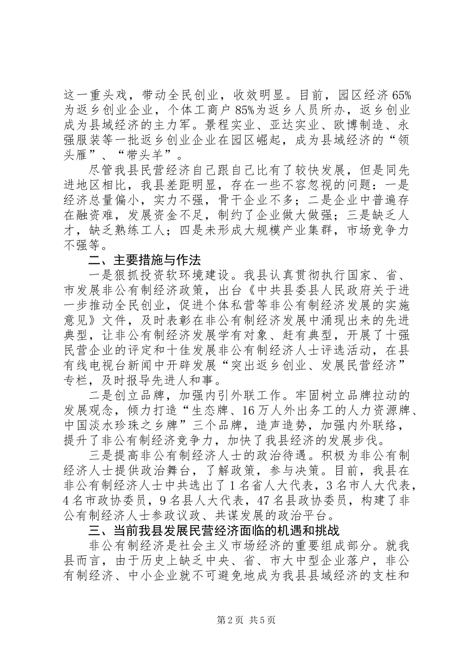 企业民营经济发展报告_第2页