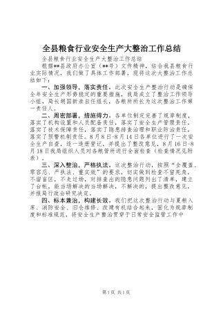 全县粮食行业安全生产大整治工作总结