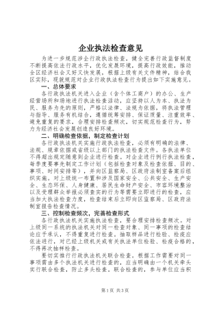 企业执法检查意见