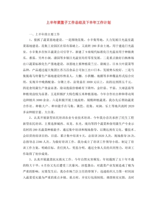 上半年菜篮子工作总结及下半年工作计划 
