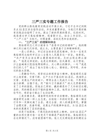 三严三实专题工作报告