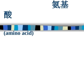 蛋白质的水解