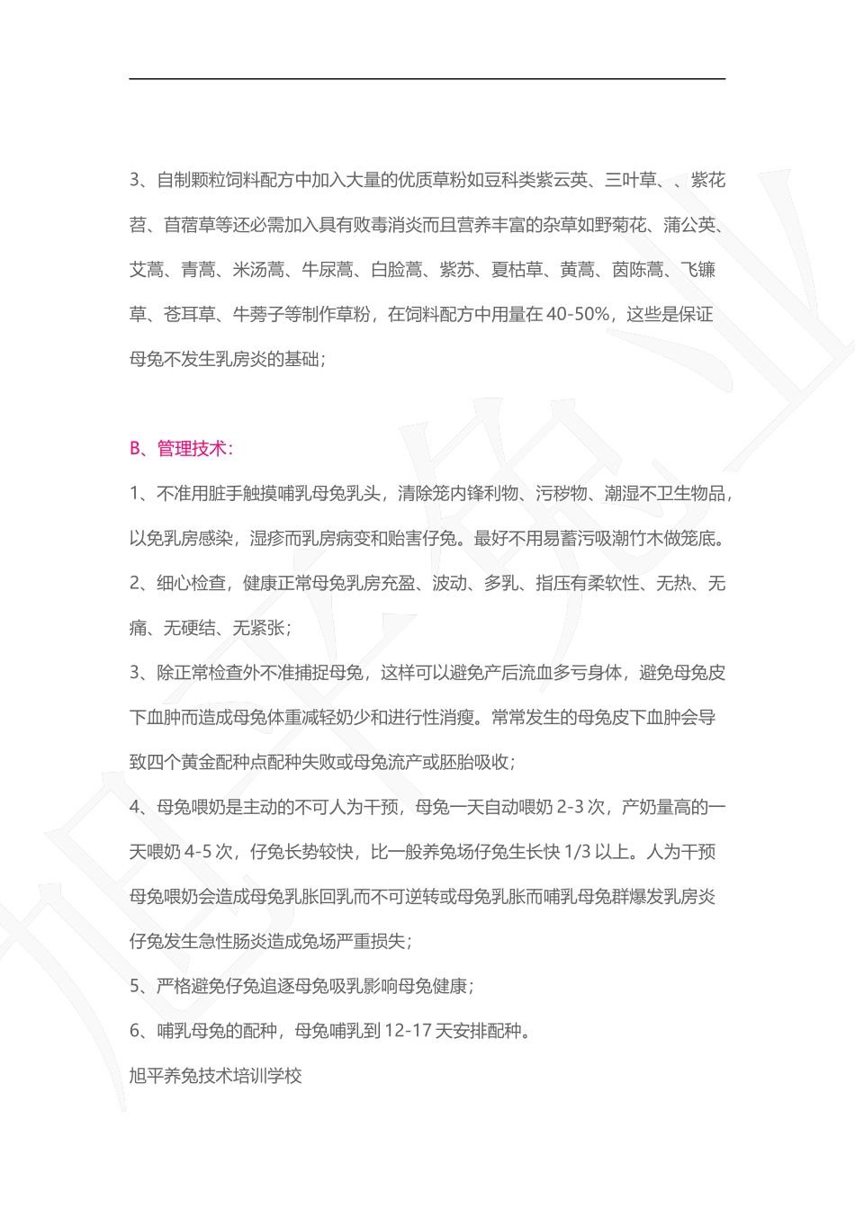 哺乳母兔的饲养管理经典_第3页