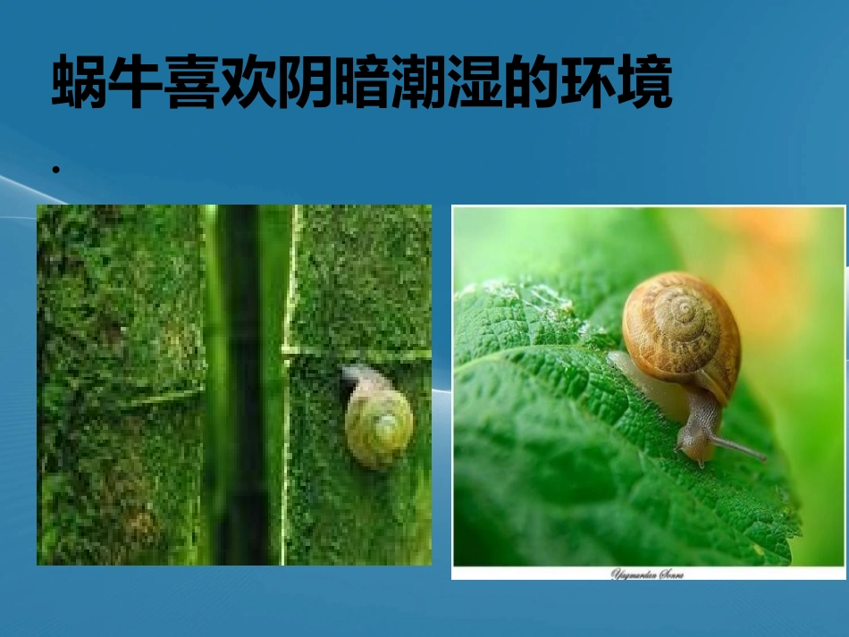 我眼里的生命世界2_第3页