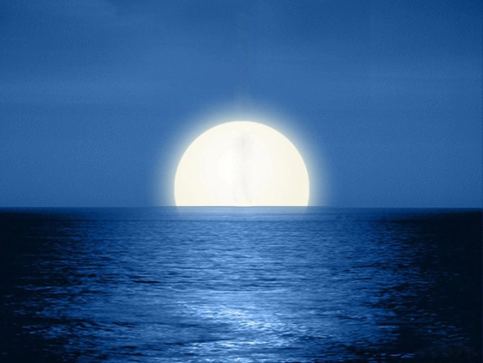 明月千里寄相思_第2页