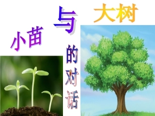 小苗与大树的对话课件