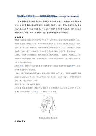 蛋白质测定方法