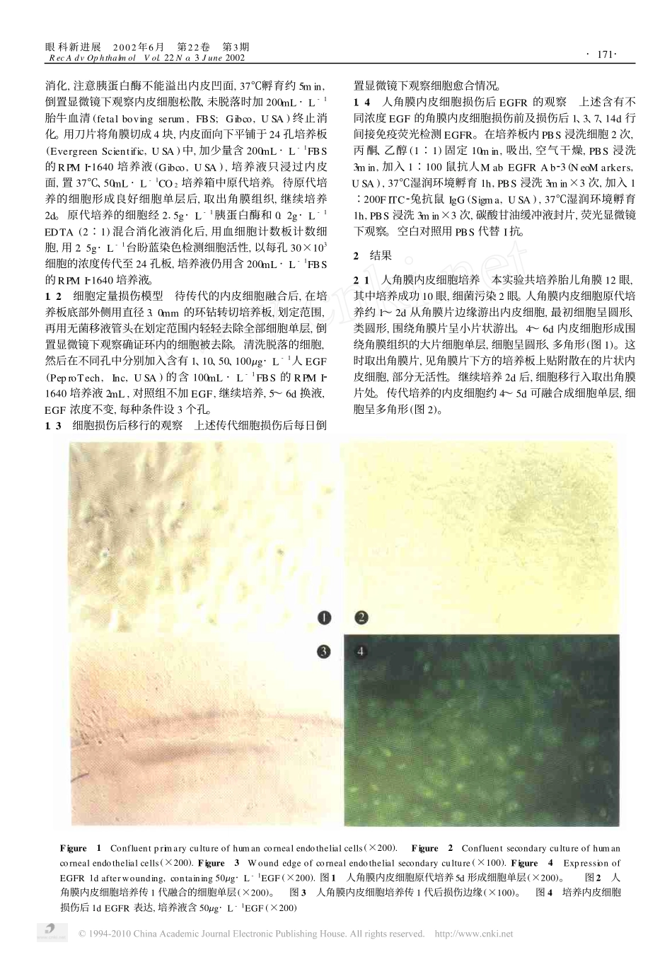 表皮生长因子对人角膜内皮细胞损伤修复的影响_第2页