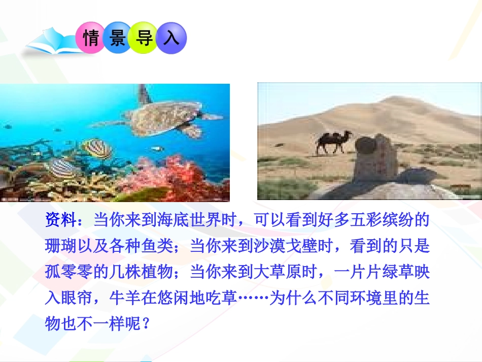 生物圈中的各种生态系统1_第2页
