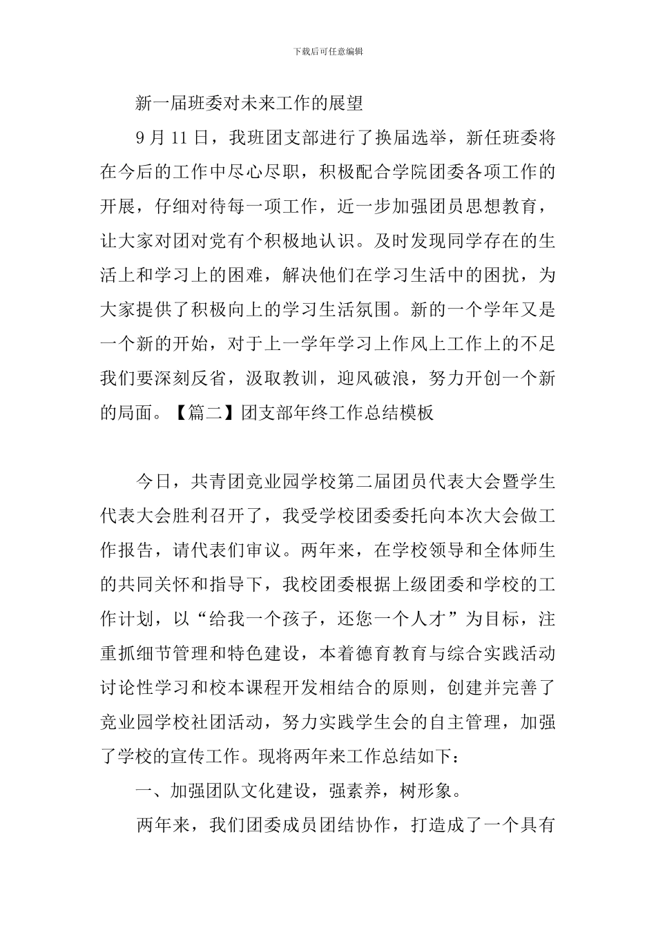 团支部年终工作总结模板_第3页