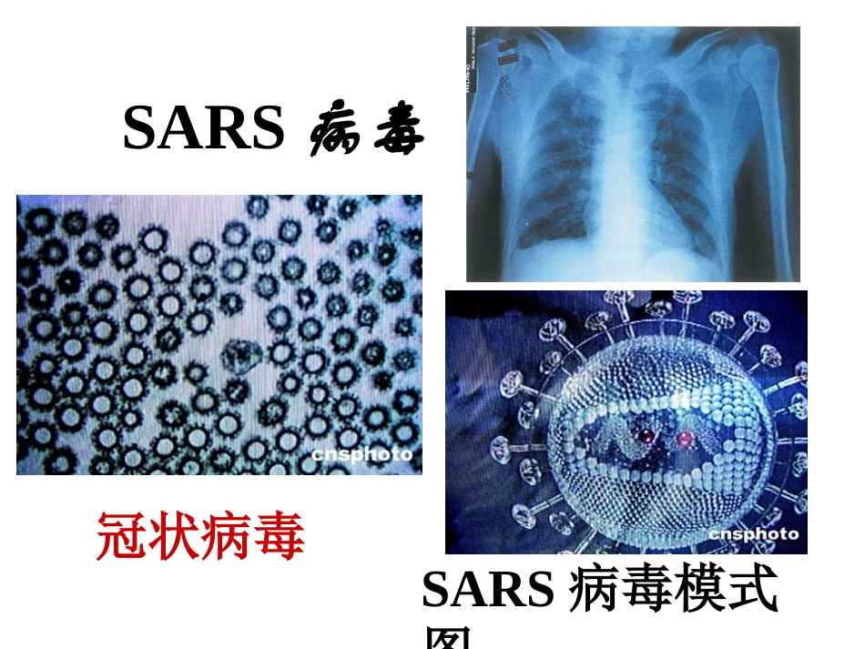 从生物圈到细胞_第2页