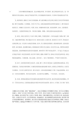 宠物犬皮肤病防治