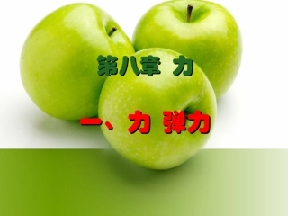 苏科版《81弹力和弹簧测力计》课件