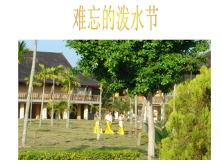 难忘的泼水节课件