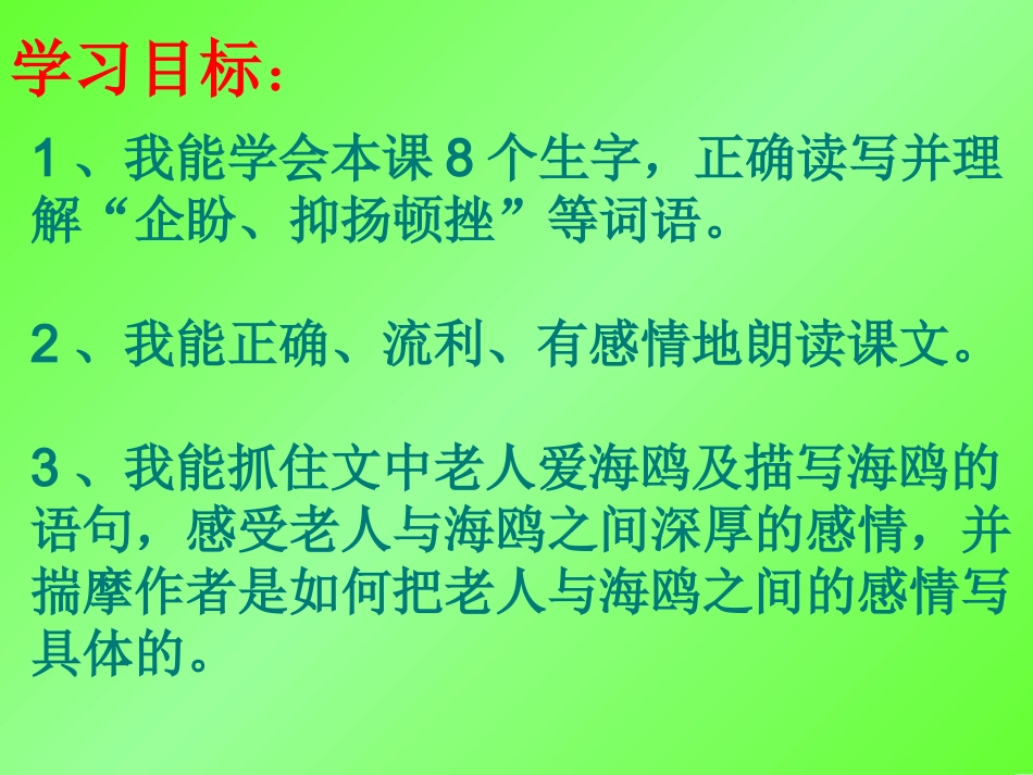 老人与海鸥 (4)_第3页