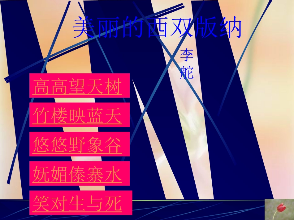 美丽的西双版纳_第3页