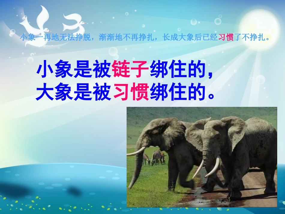 良好的习惯一生的本钱_第3页