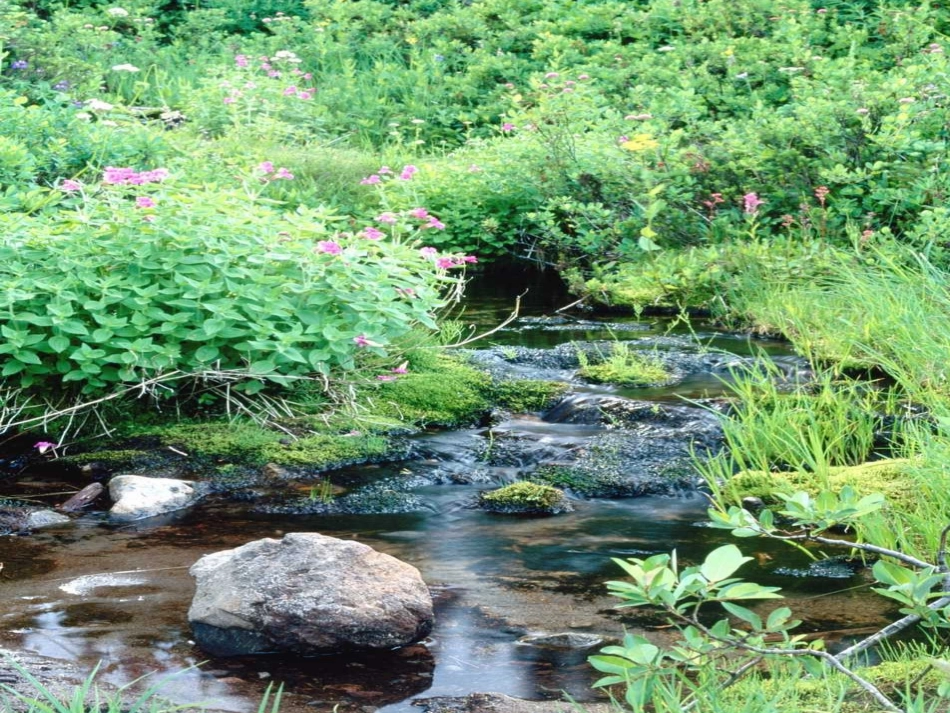 大自然的语言（修改）_第2页