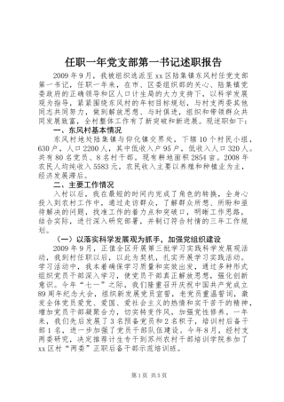 任职一年党支部第一书记述职报告