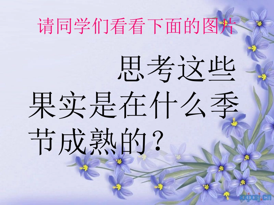 秋天的收获(1)_第2页