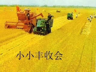秋天的收获(1)