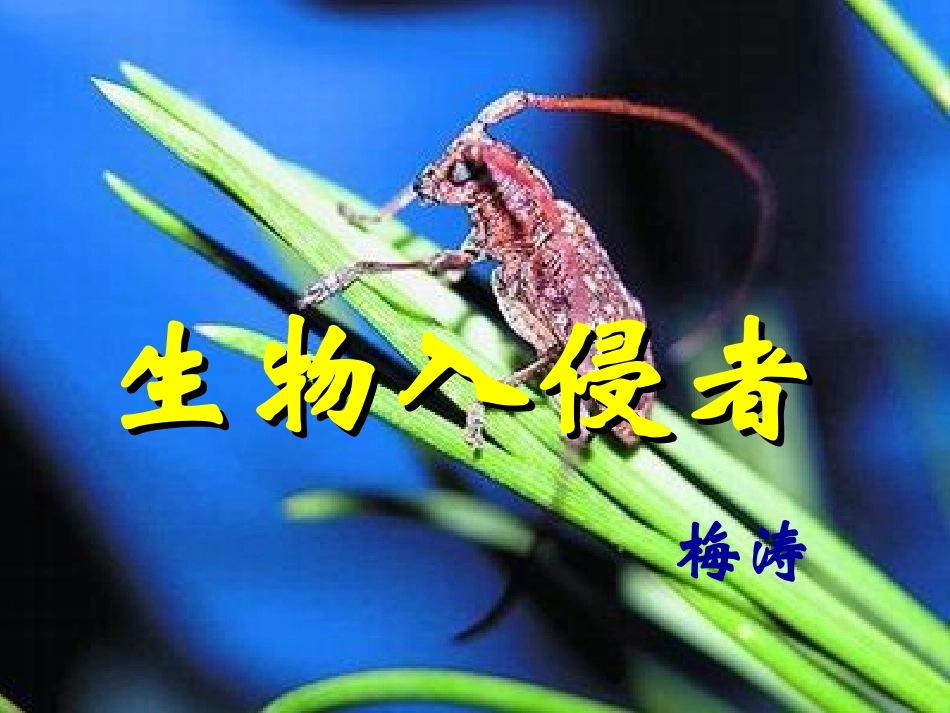 《生物入侵者》课件4_第1页