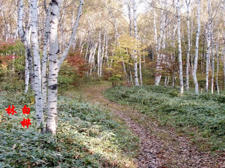 土地的誓言讲课稿_第2页