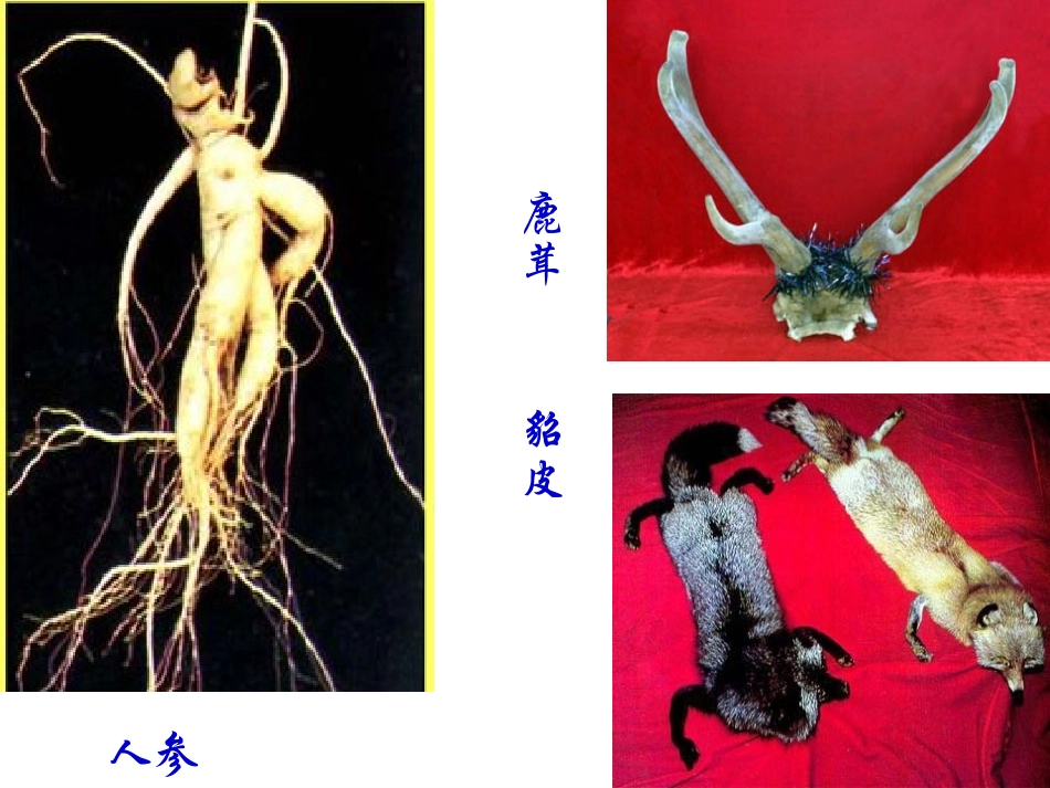 土地的誓言讲课稿_第3页