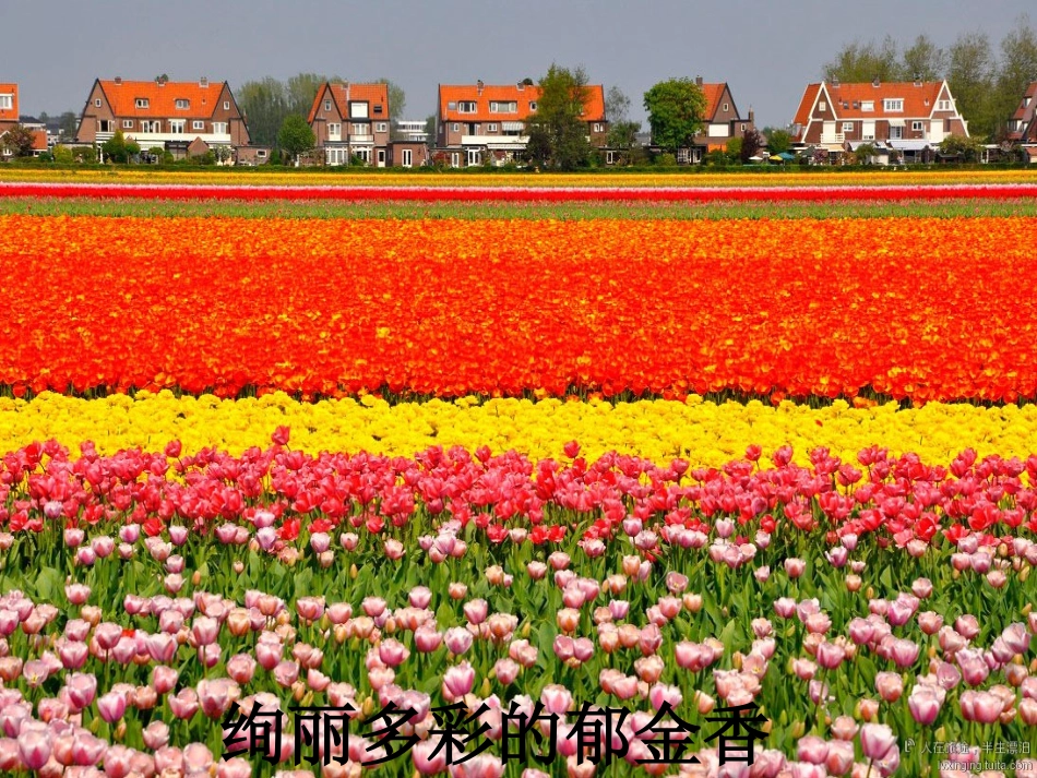 牧场之国胡丽霞_第1页