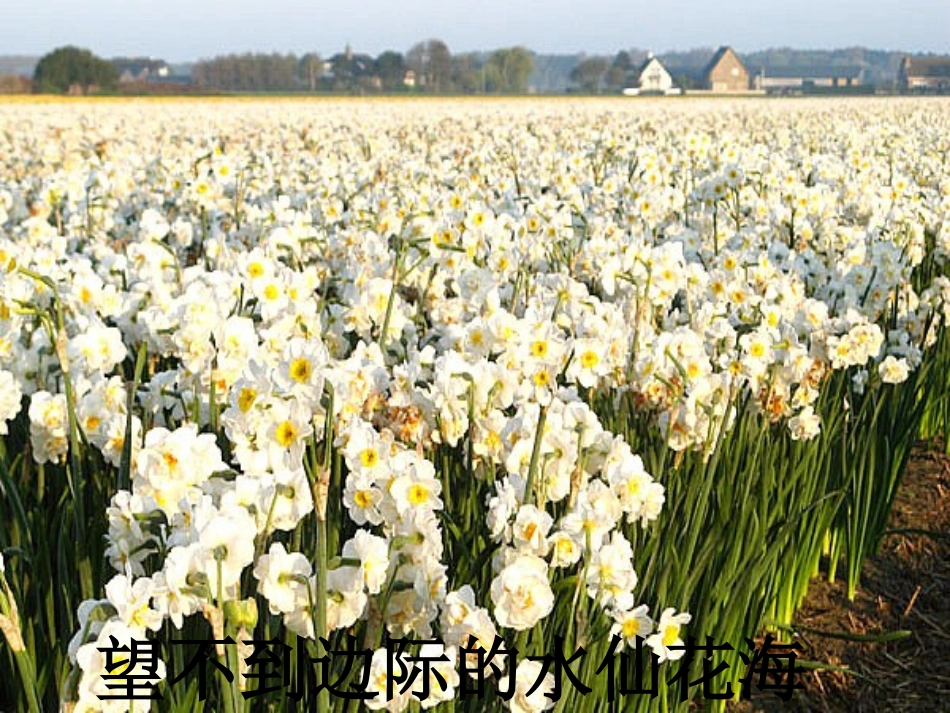 牧场之国胡丽霞_第2页