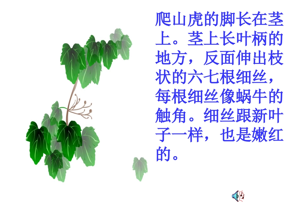 人教版第七册语文《爬山虎的脚》4_第3页