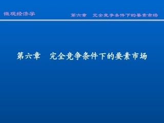 w06完全竞争要素市场