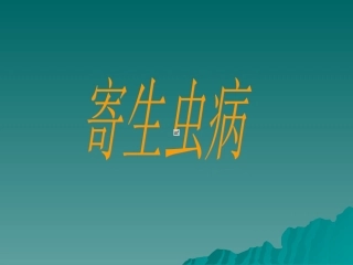 pptDE  (恢复)