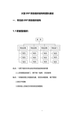 大型ERP项目组织结构和团队建设